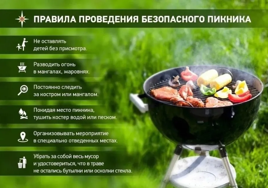 Как приготовить шашлык с соблюдением требований пожарной безопасности
