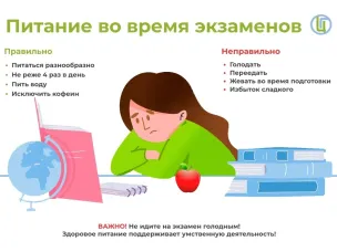 Питание во время подготовки к экзамена