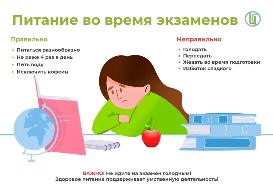 Питание во время подготовки к экзамена
