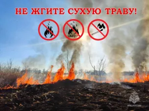 Не жгите сухую траву!