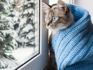 Надо ли проветривать квартиру зимой?