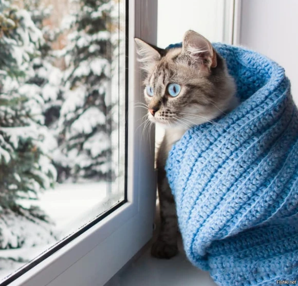 Надо ли проветривать квартиру зимой?