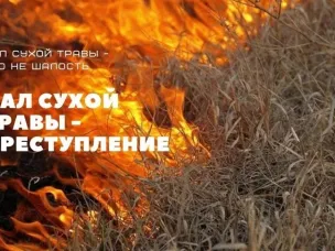 Весенний пал травы: почему это опасно и как предотвратить пожар