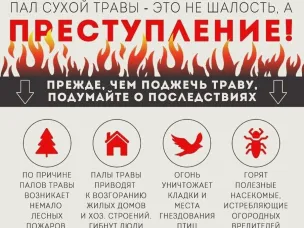 ПАЛ СУХОЙ ТРАВЫ И ОТДЫХ НА ПРИРОДЕ. ОТВЕТСТВЕННОСТЬ