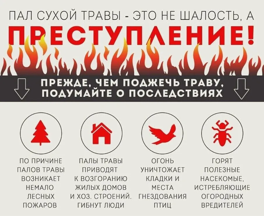 ПАЛ СУХОЙ ТРАВЫ И ОТДЫХ НА ПРИРОДЕ. ОТВЕТСТВЕННОСТЬ