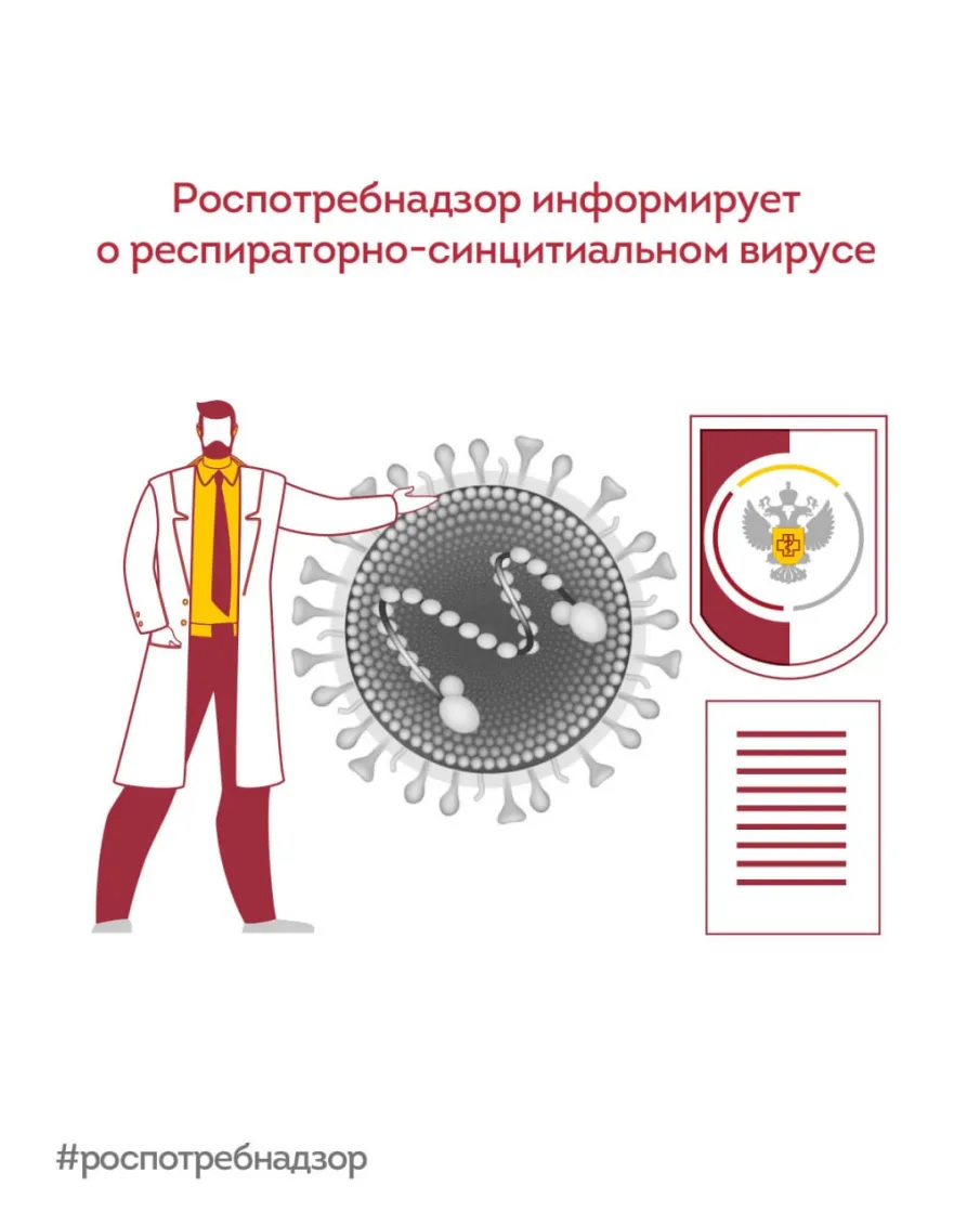 Что такое респираторно‑синцитиальный вирус? 