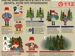 Правила безопасного поведения в лесных массивах
