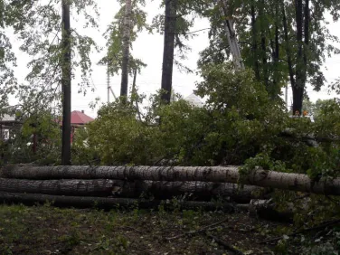 Фото ход работ