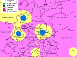 Лесопожарная обстановка на территории городского округа Семеновский