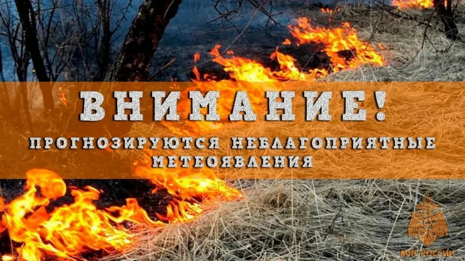 Предупреждение - местами по Нижегородской области ожидается аномально жаркая погода