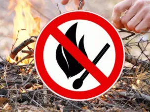 В лесах Нижегородской области с 25 апреля открыт пожароопасный сезон