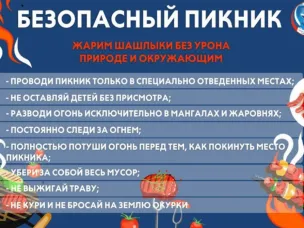 Безопасный пикник