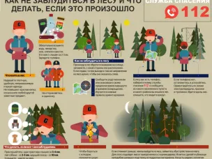 Как правильно подготовится в поход в лес за грибами и ягодами
