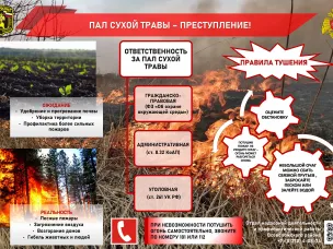 Сводка по палу травы