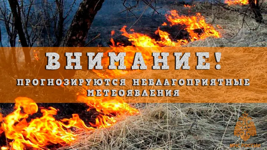 Предупреждение -  ожидается чрезвычайная (5 класс) пожароопасность лесов и торфяников