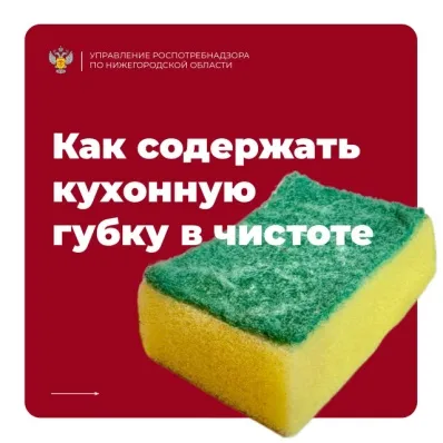 О губках для посуды: как гигиенично использовать?