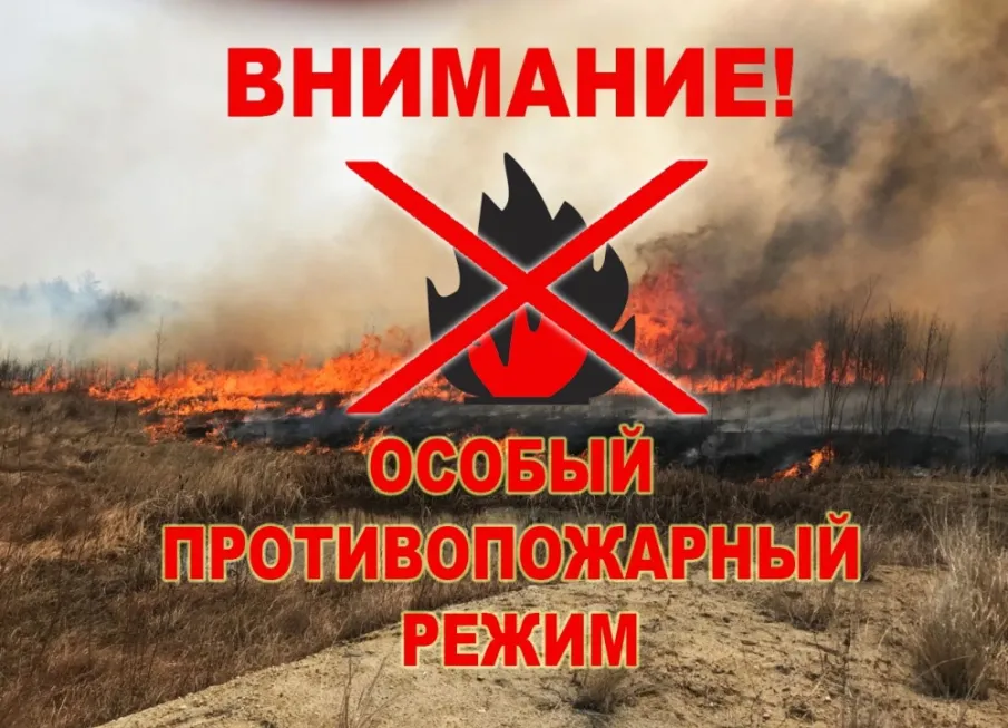С 30 апреля 2026 года на территории Нижегородской области установлен особый противопожарный режим