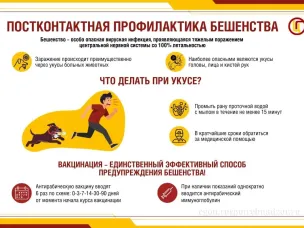 Осторожно, бешенство!