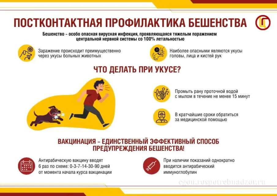 Осторожно, бешенство!