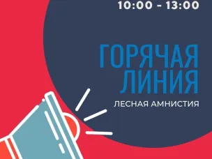 Кадастровая палата по Нижегородской области проведет горячую линию по лесной амнистии