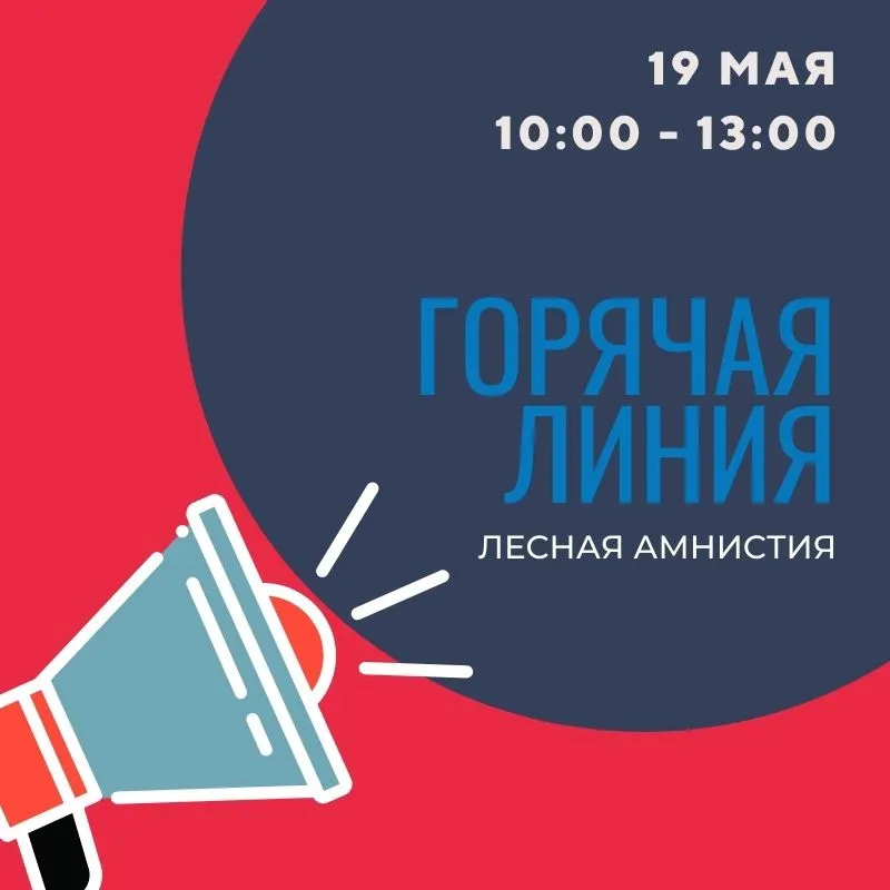 Кадастровая палата по Нижегородской области проведет горячую линию по лесной амнистии