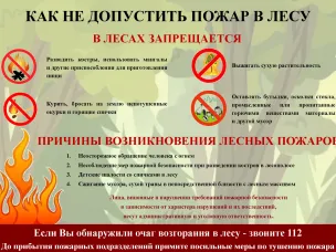 Правила пожарной безопасности в жару