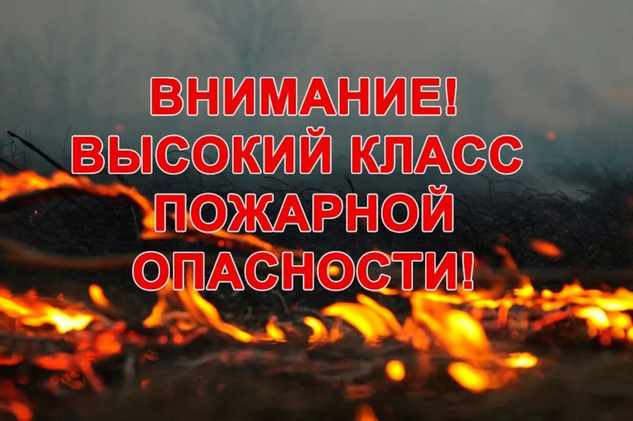 Экстренное предупреждение - высокая пожароопасность лесов