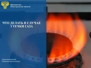 Семеновская городская прокуратура информирует