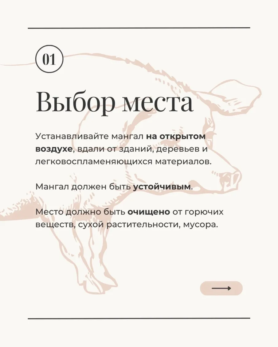 Пикник по всем правилам