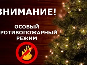 Об установлении на территории Нижегородской области особого противопожарного режима