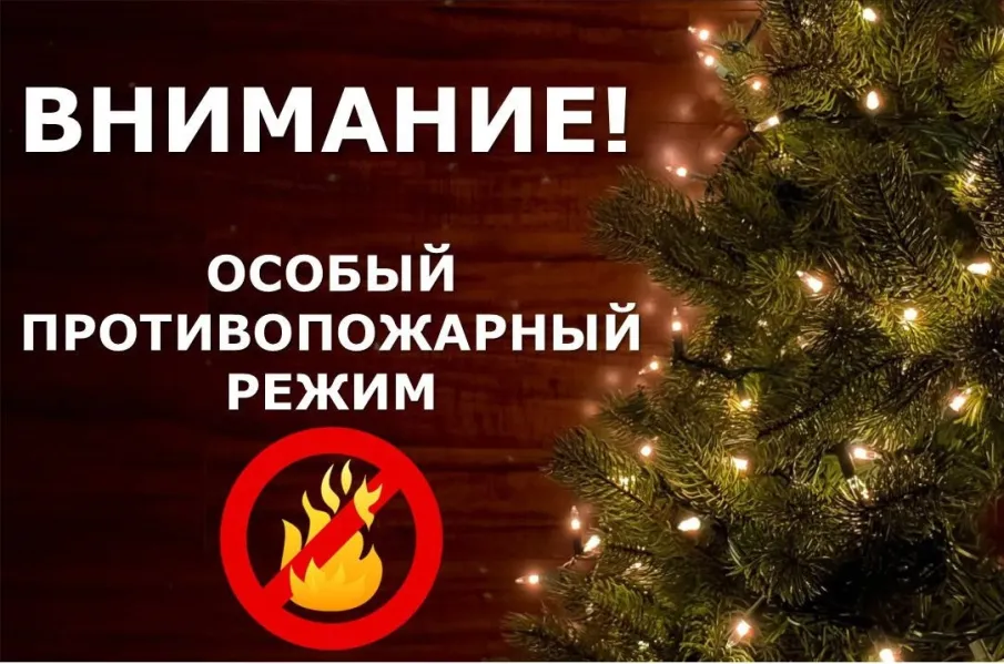 Об установлении на территории Нижегородской области особого противопожарного режима