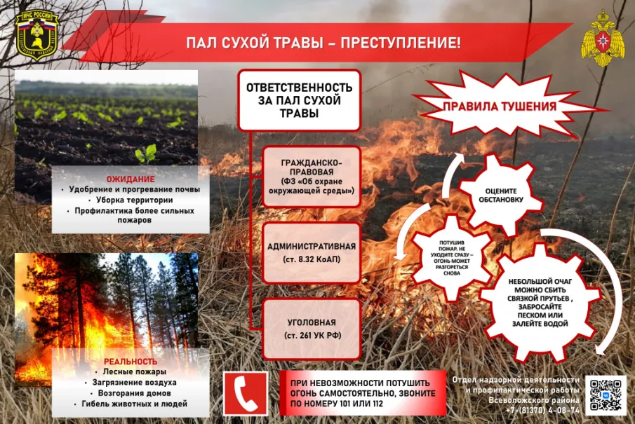 Пал травы
