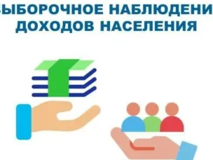О  проведении Выборочного наблюдения доходов населения и участия в социальных программах