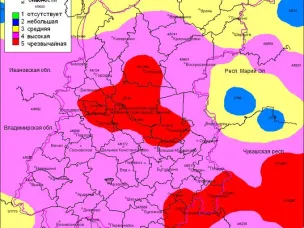 Лесопожарная обстановка  г.о. Семеновский