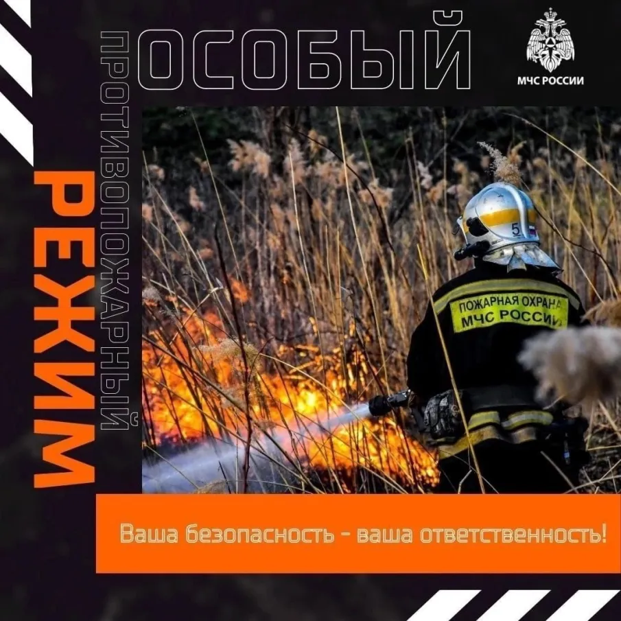 Особый противопожарный режим введен губернатором Нижегородской области