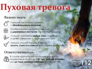 Пуховая тревога