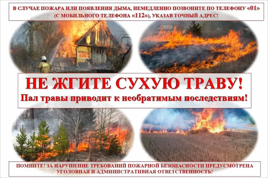 Не жгите сухую траву!