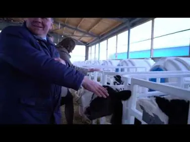 ДОД СИХТ Сельское хозяйство