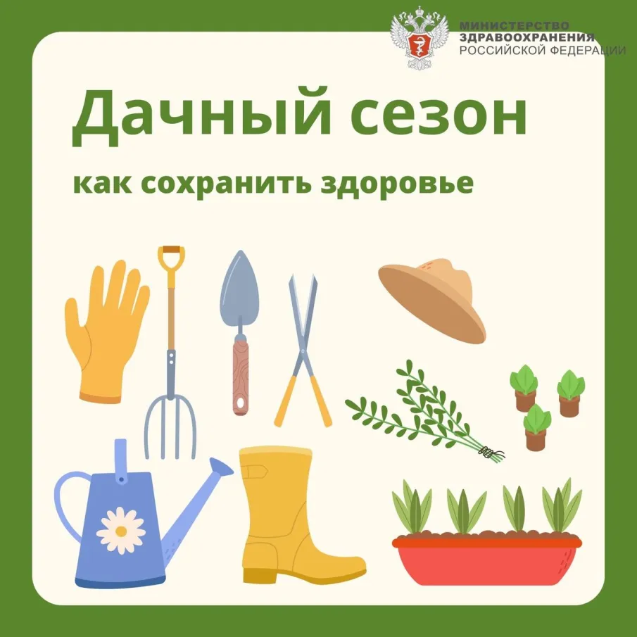 Как пожилым обезопасить себя в дачный сезон