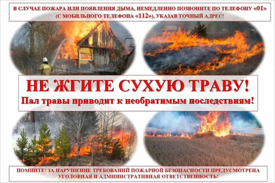 Итоги недели
