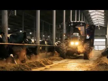 День работника сельского хозяйства