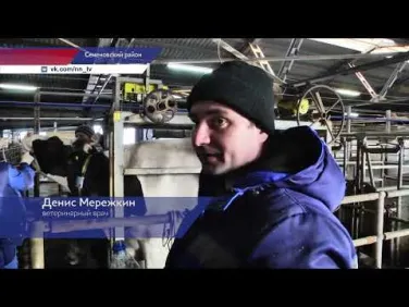 Мобильная ветлаборатория посетила сельхозпредприятие АО «Ильино-Заборское»