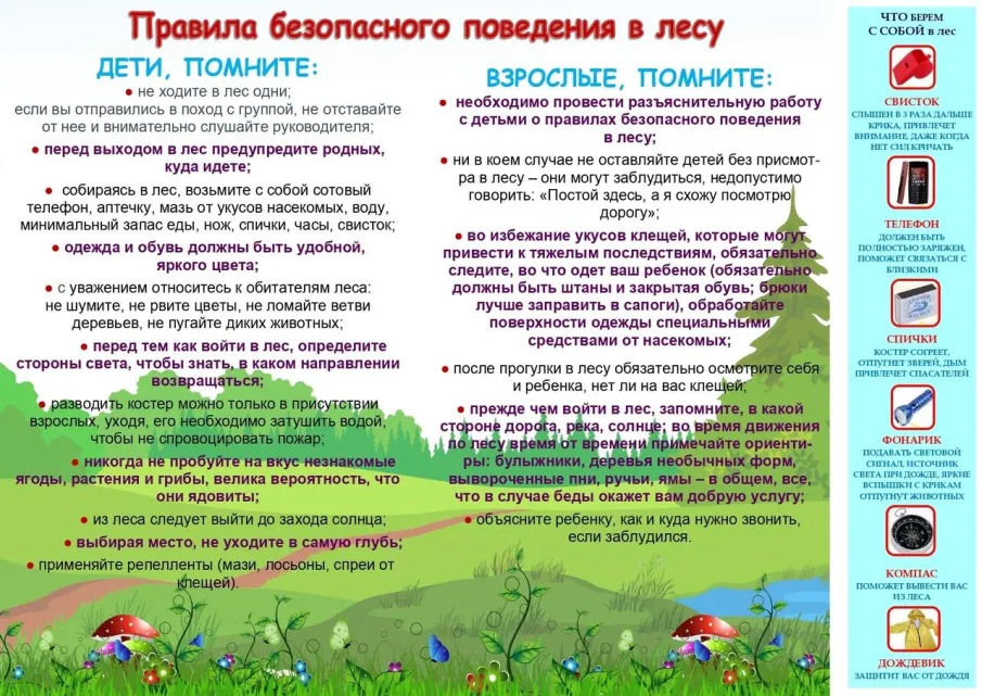 Правила поведеня в лесу.