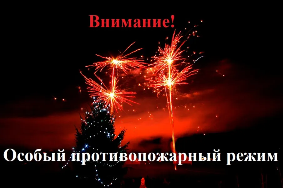 В период проведения новогодних и рождественских праздников на территории Нижегородской области установлен особый противопожарный режим.
