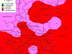 Лесопожарная обстановка на территории городского округа Семеновский