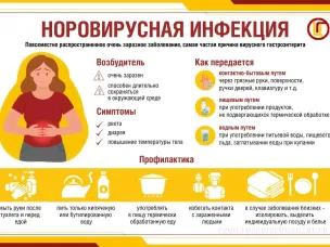Норовирус очень заразен: для возникновения заболевания достаточно 10 вирусных частиц
