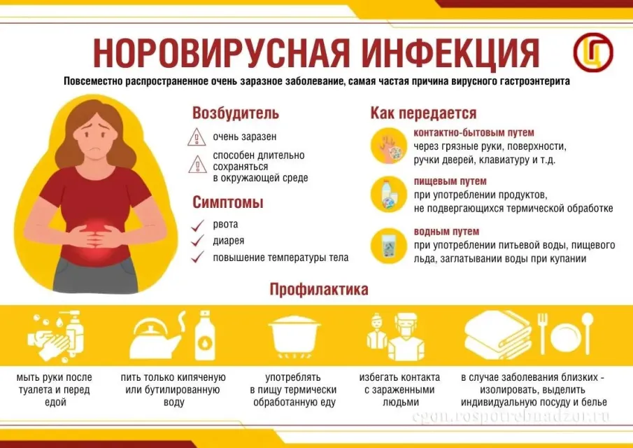 Норовирус очень заразен: для возникновения заболевания достаточно 10 вирусных частиц